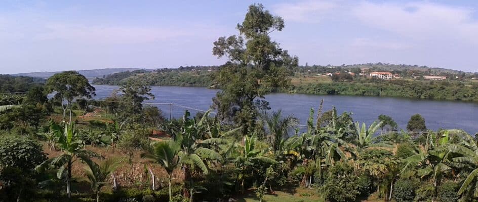 Illustration - River nile in Jinja